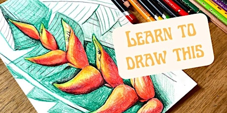 Free webinar, colour pencil drawing class