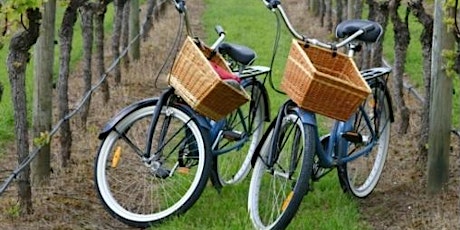 Mattituck Guided Classic Wine Country & Farm Bike Tour 5/27/2023