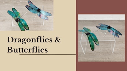 Dragonflies and Butterflies