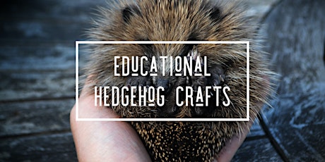 Educational Hedgehog Crafts