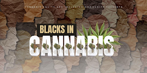 Blacks in Cannabis