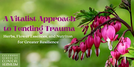 A Vitalist Approach to Tending Trauma