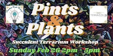 Pints & Plants - Terrazza 19