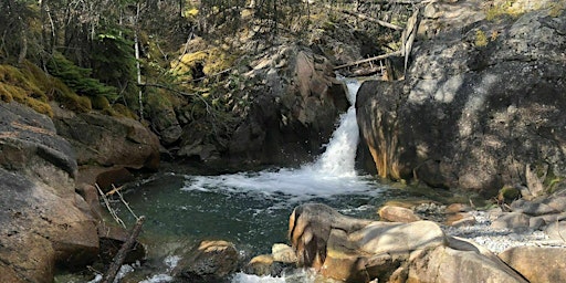Guided adventure hike- Thompson Creek falls (Nordegg area) 4IL primary image