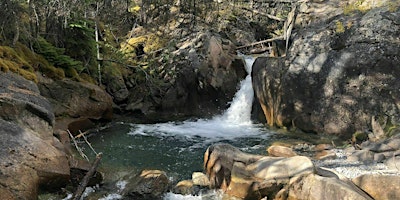 Guided adventure hike- Thompson Creek falls (Nordegg area) 4IL primary image