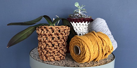 Primaire afbeelding van Crochet Plant Cosy Workshop