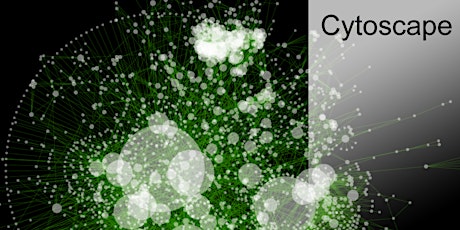 Cytoscape Tutorial for Beginners primary image