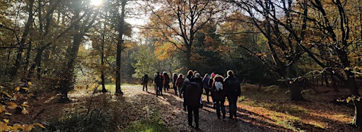 Collection image for Guided Walks in Epping Forest