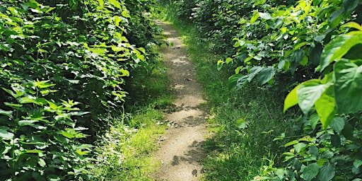 Hauptbild für Bosbaden / Shinrin-Yoku / Forest Bathing - Vroege Vogelbos, Almere