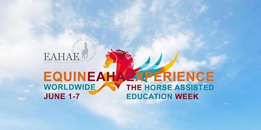 The Horse Assisted Education Week: Führung, Team und Change für Entscheider