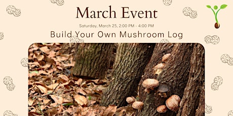 Build Your Own Mushroom Log