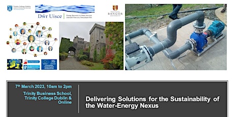 Delivering Solutions for the Sustainability of the Water-Energy Nexus