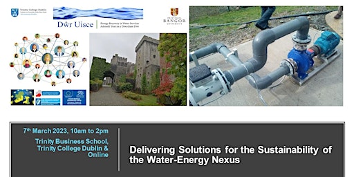Delivering Solutions for the Sustainability of the Water-Energy Nexus ONLIN