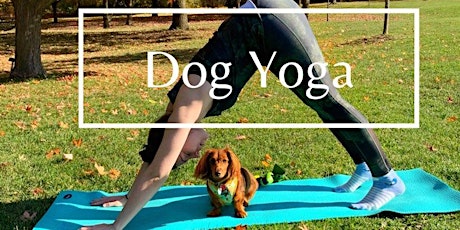 Online Dog Yoga | Do yoga with your dog at home