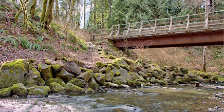 Bings Creek Bridge Spring Photowalk primary image