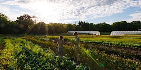 Protecting your crops in times of uncertainty primary image