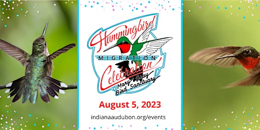 Hauptbild für Hummingbird Migration Celebration 2024