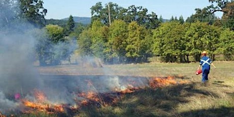 The Role of Fire in Forested Communities