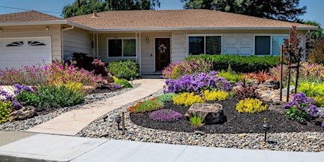 Water-Wise Landscape Design and Plant Selection