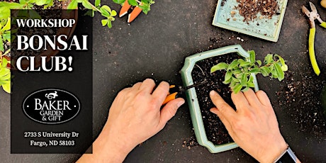 Hauptbild für Bonsai Club