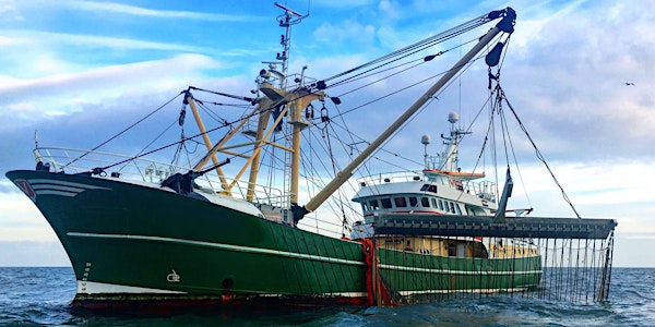 International Dialogue Meeting Pulse Fishing 2018
