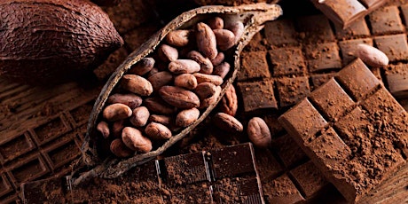 Sabor a Chocolate: Cacao and Xocolatl