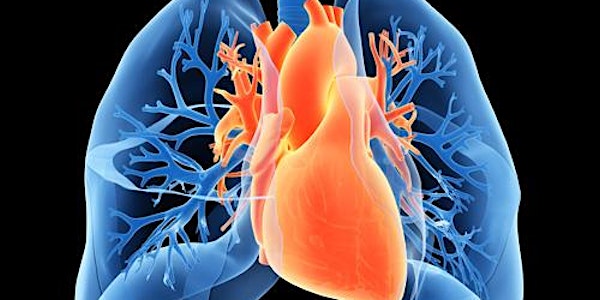 New insights into pulmonary arterial hypertension