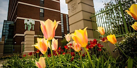 Loyola SOC Retirement Celebration  primary image