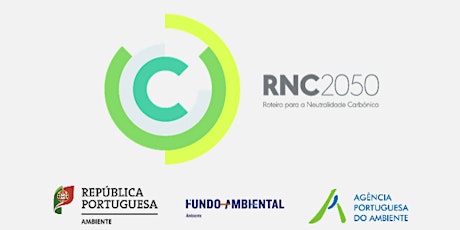 Imagem principal de Evento temático do RNC2050 - O papel da floresta para a descarbonização 