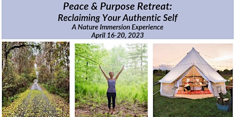 Peace & Purpose Retreat: A Nature Immersion Experience