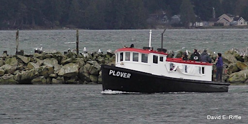 2023 Plover Passenger Ferry Nature Cruises (Departs Hourly)
