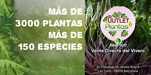 Gran OUTLET PLANTAS - Directo del Vivero a la ciudad
