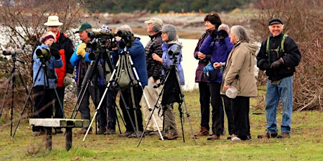 Guided Birding Field Trip  at Semiahmoo  Spit - Sunday primary image