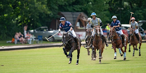 Sunday Polo - Petersham Bowl Tournament Finals - 11th June primary image