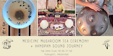 Medicine Mushroom Tea Ceremony & Handpan Sound Journey