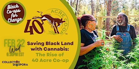 Saving Black Land with Cannabis: The Rise of 40 Acre Co-op