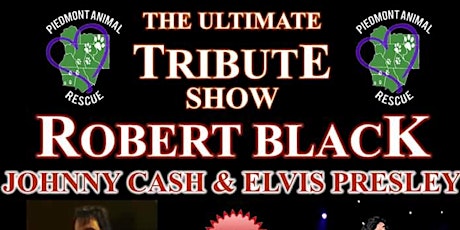 The Ultimate Tribute Show Robert Black primary image