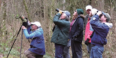 Birch Bay, Birds and Brew Guided Nature Walk primary image