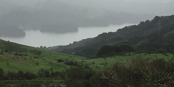 East Bay Tilden to Wildcat Bike Adventure