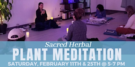 Sacred Herbal Plant Meditation