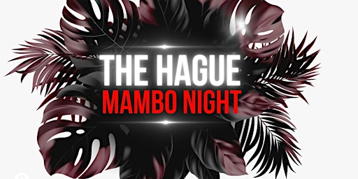 The Hague Mambo Night - Salsa & Bachata area's