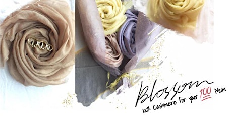 Peek n Seek Cashmere Blossom Party primary image