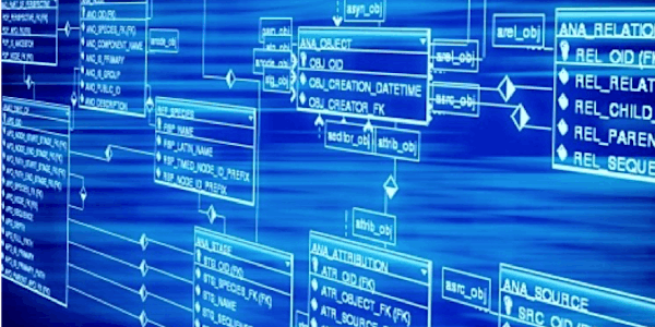 ¿Cómo Segmentar en una Base de Datos?