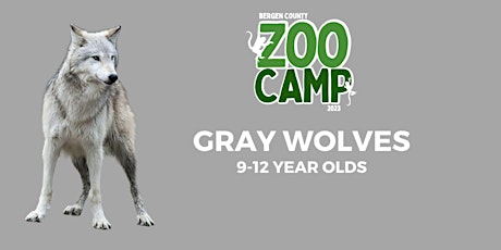 August 7th –  11th Gray Wolves: 9-12 Year olds