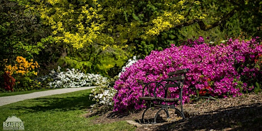 Imagem principal do evento PAWA Paints Washington Park Arboretum - 2024