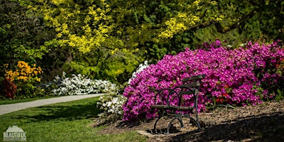 PAWA Paints Washington Park Arboretum - 2024 primary image