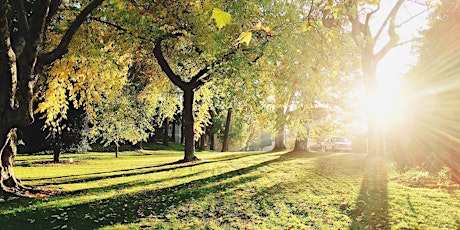 Weekly Park Yoga! primary image