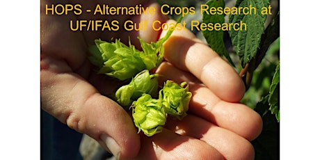 Hops Field Day - Alternative Crops Research at GCREC primary image
