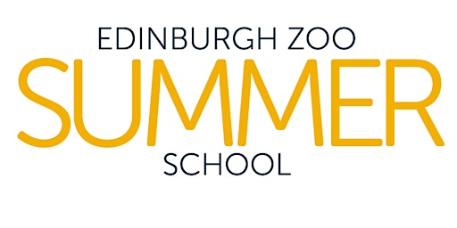RZSS Summer School 2024  primärbild