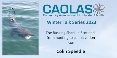 The Basking Shark in Scotland - from hunting to conservation icon